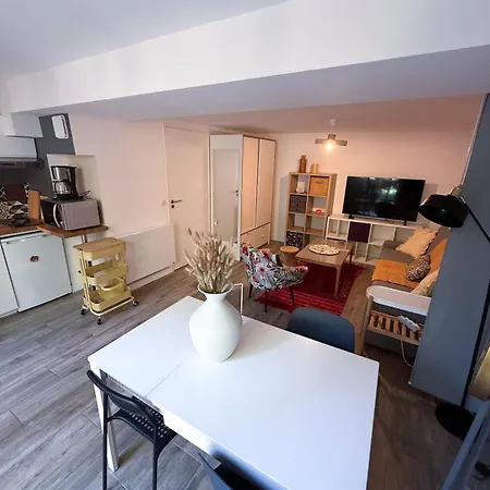Appartement Avec Jardin à 250 M De La - Le Mourillon Toulon